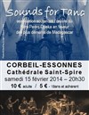 Sounds for Tana - Cathédrale Saint-Spire