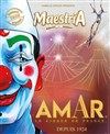 Cirque Amar® dans Maestria - Aire événementielle de la Ponétie
