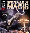 Spectacle de Magie et papa Noël - Le Like me 