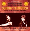 Sunday Flamenco - Péniche Antipode