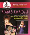 Plumes en folie - Cabaret de la brèche