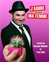 Yves Pujol dans J'adore (toujours) ma femme ! - Théâtre de la Cité