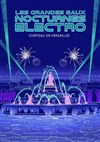 Les Grandes Eaux Nocturnes Electro 2025 - Jardin du château de Versailles - Entrée Cour d'Honneur
