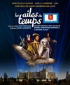 Les Ailes du Temps - Château de Saint Germain en Laye