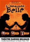 Affiche de L'Echappée belle