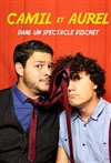 Camil et Aurel dans un Spectacle Discret - Les Arts dans l'R