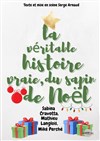 La véritable histoire vraie du sapin de Noël - Théâtre de la Cité