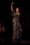 Flamenco, flamenco ! - Centre Mandapa