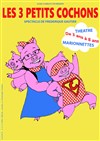 Les 3 petits cochons - Théo Théâtre - Salle Théo