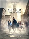 Ciné'eau : Les animaux fantastiques - Piscine Saint François