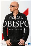 Pascal Obispo - Théâtre de Longjumeau