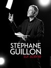 Stephane Guillon - La scène de Strasbourg