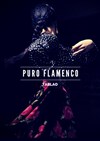 Puro Flamenco Tablao - La Péniche Anako