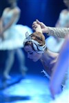 Le lac des cygnes - Théâtre Le Blanc Mesnil - Salle Barbara