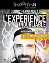 Cédric Fernandez dans L'expérience inoubliable - Le Barbizon
