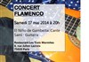 Concert flamenco : El Niño de Gambetta - Les trois marmites