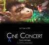 Ciné-Concert : par l'Orchestre de Fourvière - L'Aqueduc 