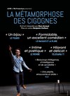 La métamorphose des cigognes - Théâtre Comédie Odéon