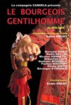Le Bourgeois Gentilhomme - Théâtre de Nesle - grande salle 