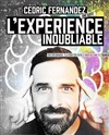 Cédric Fernandez dans L'expérience inoubliable - Improvidence Bordeaux