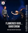 Flamenco vivo... Baró Drom - Théatre du Chêne Noir - Salle John Coltrane