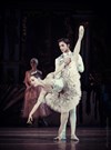 Casse-Noisette | par le Grand Ballet de Kiev - Théâtre Le Blanc Mesnil - Salle Barbara