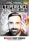 Cédric Fernandez dans L'expérience inoubliable - Le Grand Point Virgule - Salle Apostrophe