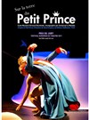 Sur la terre du petit prince - L'Antidote Théâtre