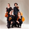 Un quatuor à Vienne - Salle Mère Marie Pia