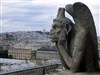 L'histoire d'Esméralda et de Quasimodo, à la Cathédrale Notre-Dame de Paris, racontée aux enfants et à leurs parents - Cathédrale Notre-Dame de Paris