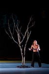 The Tree (Fragments of poetics on fire) - Chaillot - Théâtre National de la Danse / Salle Jean Vilar