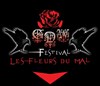 Gothic Dark Wave Festival - Château de Tilloloy