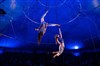 Elle/s - Espace Cirque d'Antony