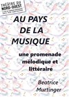 Affiche de Au Pays de la Musique