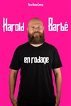 Harold Barbé | En rodage - Théâtre à l'Ouest Caen
