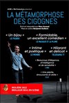 La métamorphose des cigognes - Théâtre 100 Noms - Hangar à Bananes