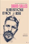 David Salles dans La vie est folle et moi aussi - Théâtre à l'Ouest