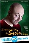 Sacha Judaszko dans le fabuleux destin de Sacha le Rouquin - Théâtre BO Saint Martin