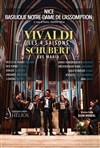 Les 4 Saisons de Vivaldi, Ave Maria et Célèbres Adagios - Basilique Notre Dame de l'Assomption
