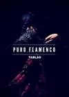 Puro flamenco tablao - Le Kibélé