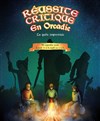 Réussite critique en Orcadie - Théâtre de Nesle - grande salle 