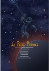 Le Petit Prince - Théâtre des Brunes