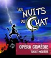 Les nuits du chat - Opéra Comédie - Salle Molière
