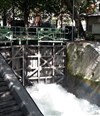 Visite guidée : Le canal Saint-Martin - Métro Jaurès