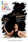 Stéphane Botti dans La merveilleuse évasion - Théâtre Les Blancs Manteaux 