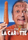 Merri dans Elle est pas énorme la carotte ! - Théâtre Comédie de Lille 