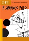 Flamenco puro - Théâtre Pixel