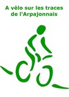 A vélo sur les traces de l'Arpajonnais - Pont d'Antony
