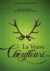 La veuve Choufleuri - Théâtre Comédie de Lille 