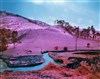 Richard Mosse : Infra - Centre Culturel Irlandais